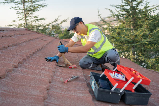 Best Roof Maintenance Services  in Crosspointe, VA