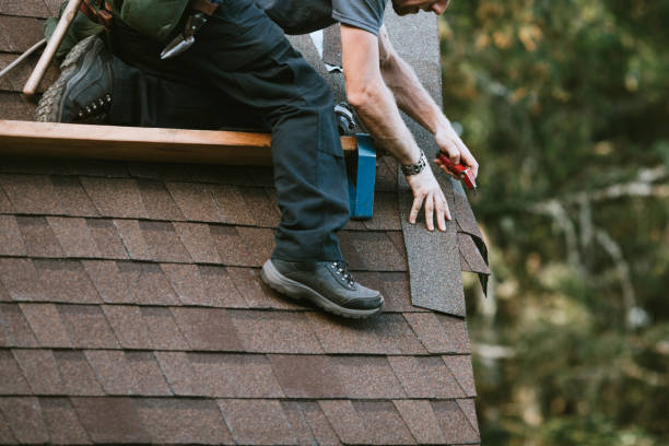 Best Gutter Installation and Roofing  in Crosspointe, VA